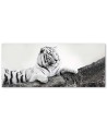 Tiger wild animal - Bedroom wall art painting | FEEBY