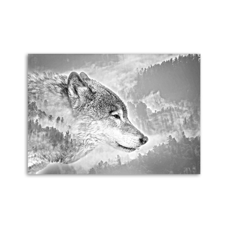 Modernes Wandbild - Wolf Natur Tiere | Feeby