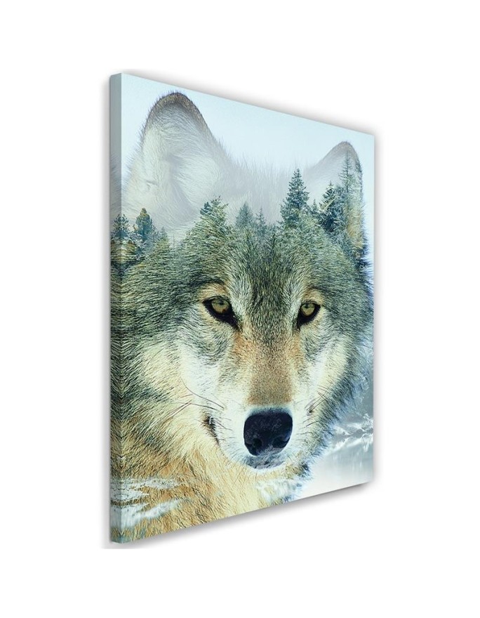 Leinwandbild - Wolf in einem Wald Hintergrund | Feeby