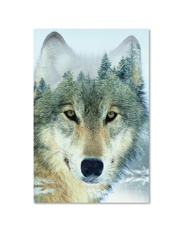 Leinwandbild - Wolf in einem Wald Hintergrund | Feeby