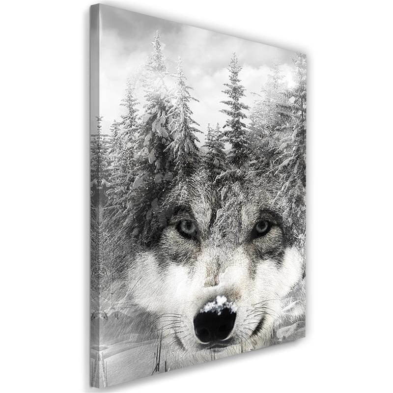 Bild auf Leinwand - Wolf in einer Winterlandschaft | Feeby