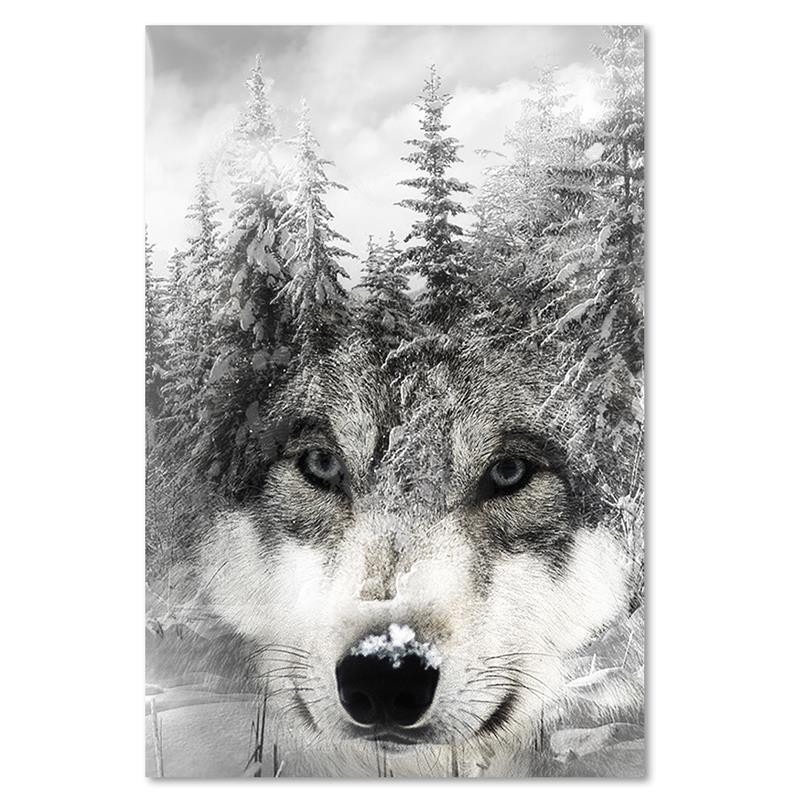 Bild auf Leinwand - Wolf in einer Winterlandschaft | Feeby