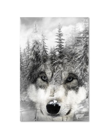 Bild auf Leinwand - Wolf in einer Winterlandschaft | Feeby