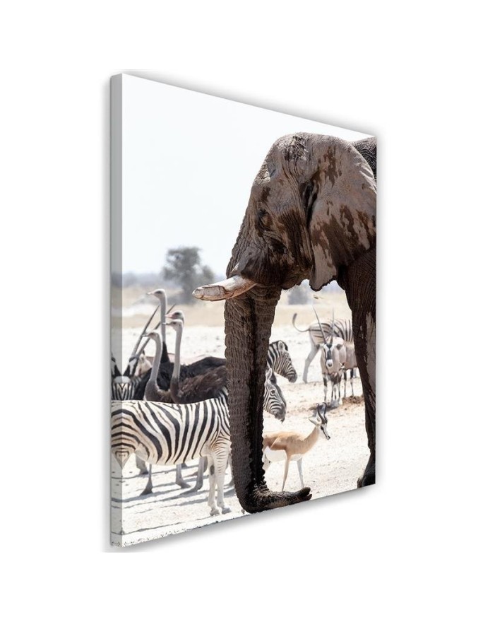 Leinwandbild - Tiere in der Savanne | Feeby