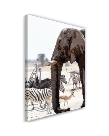 Leinwandbild - Tiere in der Savanne | Feeby