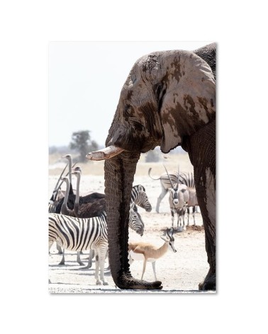 Leinwandbild - Tiere in der Savanne | Feeby