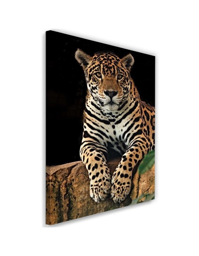Modernes Wandbild - Leopard Tiere | Feeby