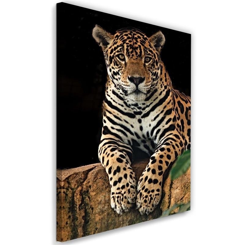 Modernes Wandbild - Leopard Tiere | Feeby