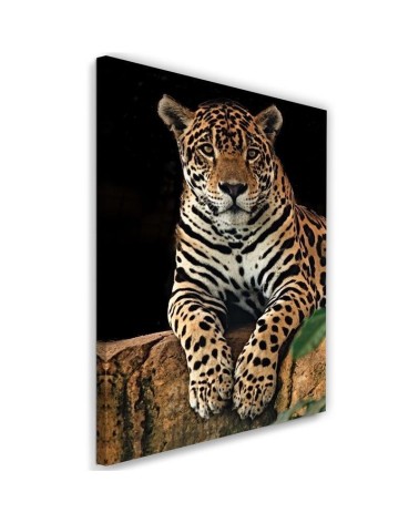 Modernes Wandbild - Leopard Tiere | Feeby