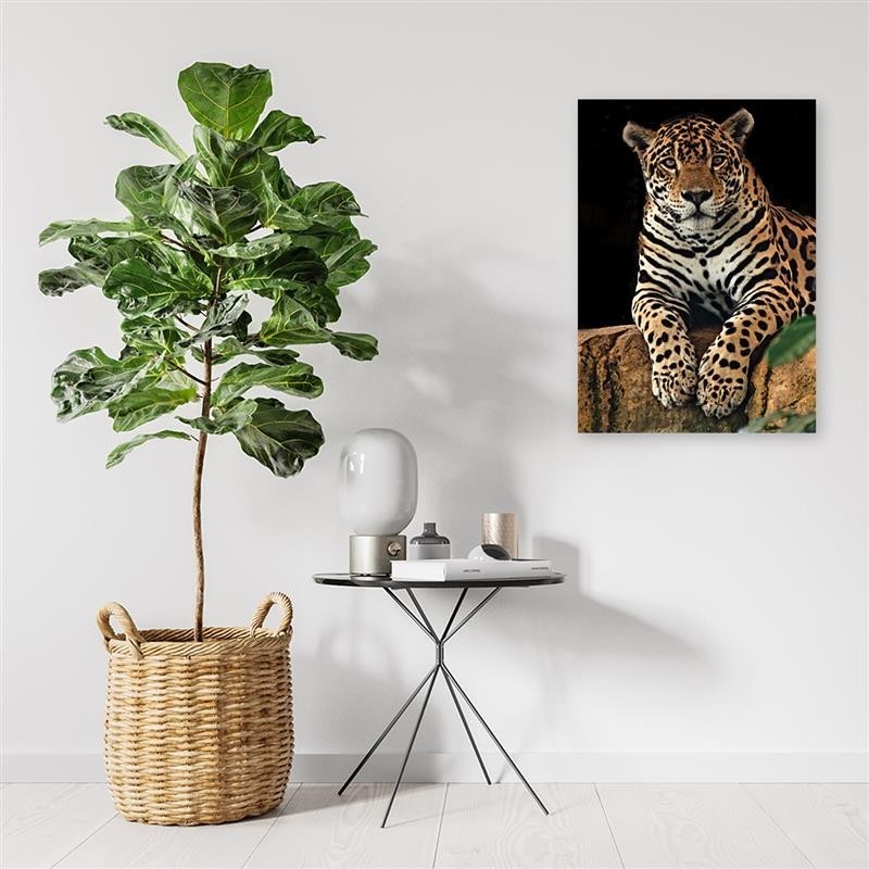 Modernes Wandbild - Leopard Tiere | Feeby