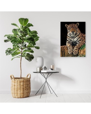 Modernes Wandbild - Leopard Tiere | Feeby