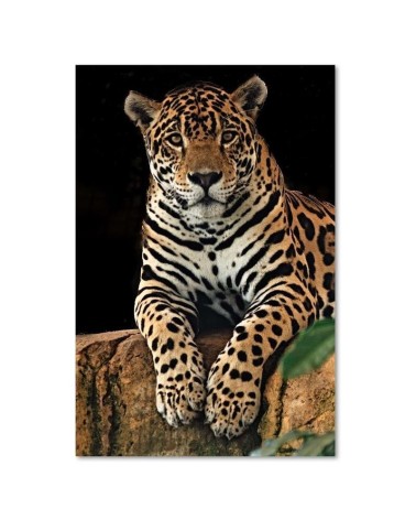 Modernes Wandbild - Leopard Tiere | Feeby