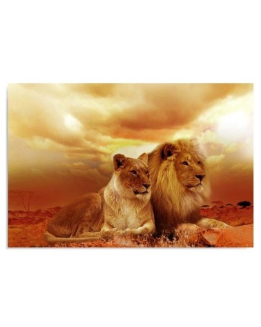Bild auf Leinwand - Ein paar Löwen | Feeby