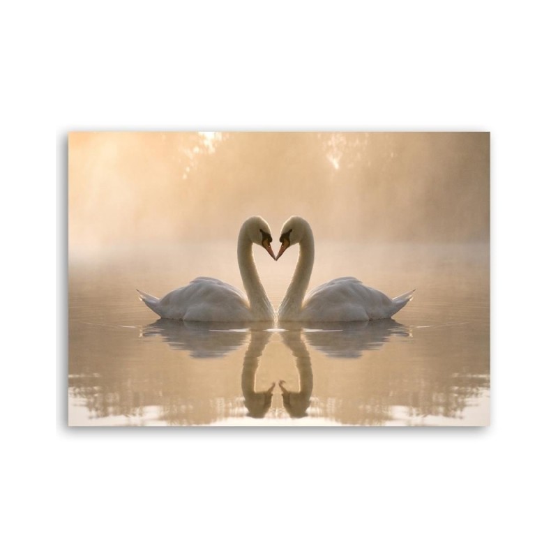 Wandbild für Wohnzimmer - Schwäne auf einem Teich | Feeby
