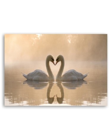 Wandbild für Wohnzimmer - Schwäne auf einem Teich | Feeby