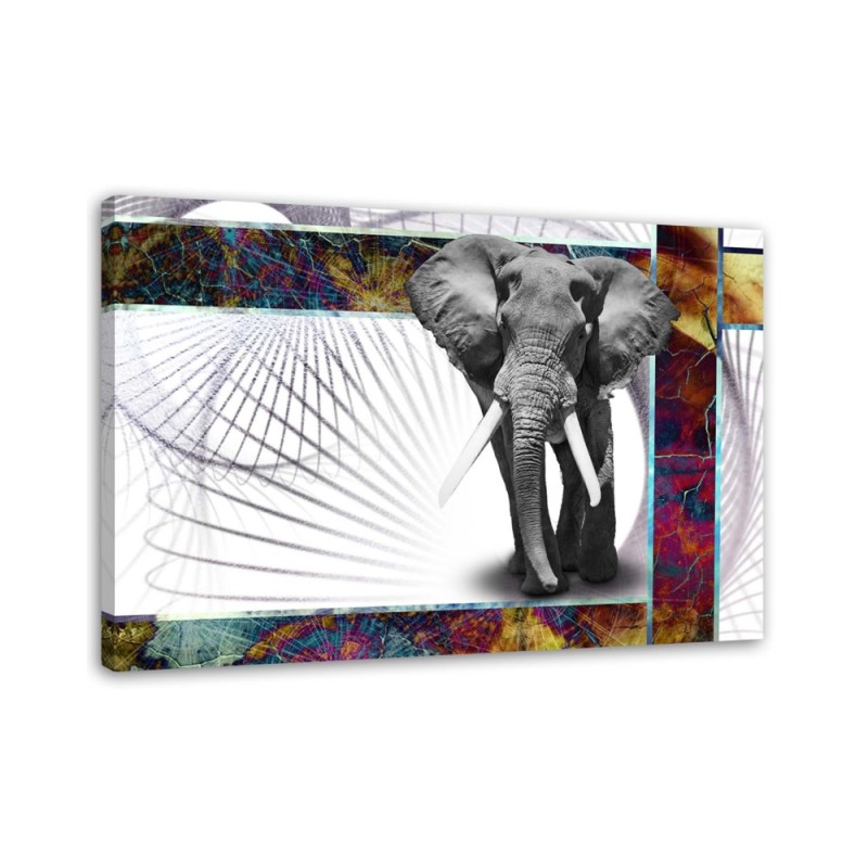 Bild auf Leinwand - Mächtiger Elefant | Feeby
