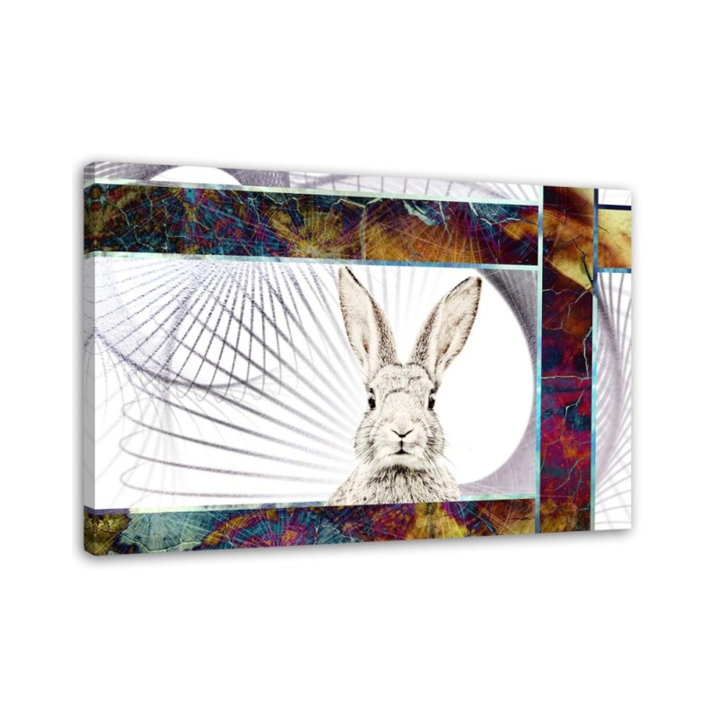 Leinwandbild modern - Scheues Kaninchen | Feeby