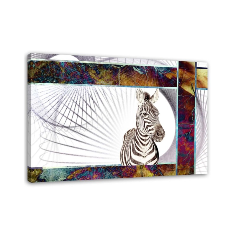 Leinwandbild - Faszinierendes Zebra | Feeby