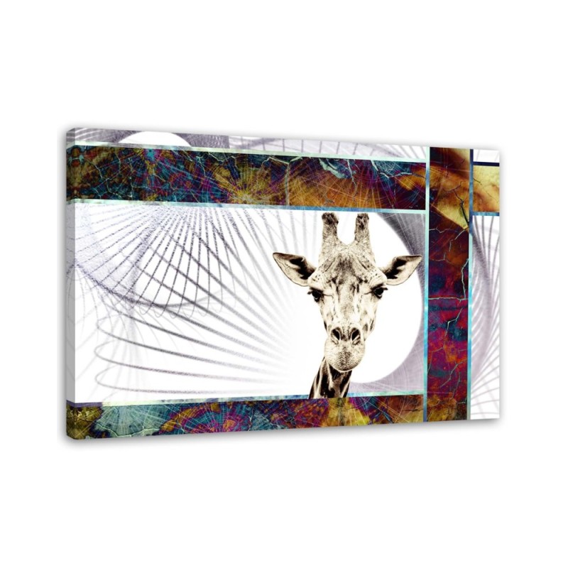 Bild auf Leinwand - Neugierige Giraffe | Feeby