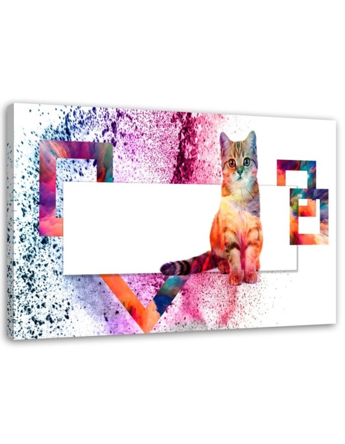 Leinwandbild - Mehrfarbige Katze auf weißem Hintergrund | Feeby