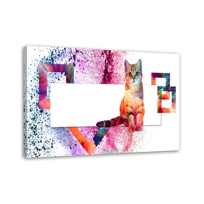 Leinwandbild - Mehrfarbige Katze auf weißem Hintergrund | Feeby