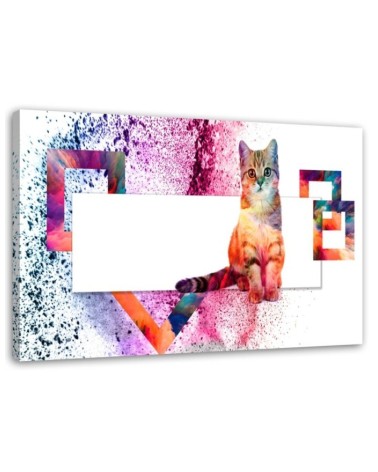 Leinwandbild - Mehrfarbige Katze auf weißem Hintergrund | Feeby