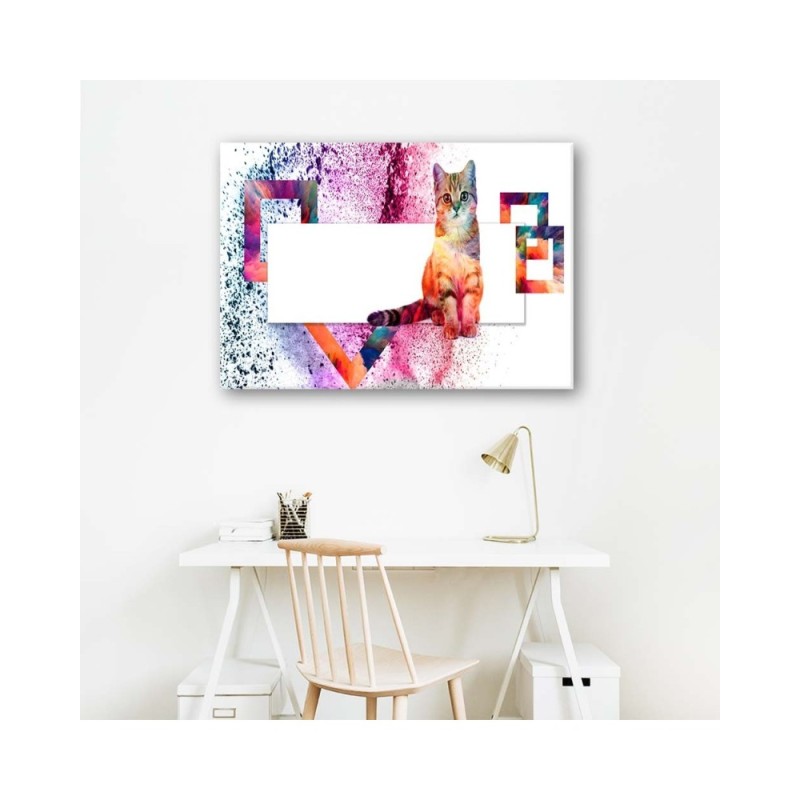 Leinwandbild - Mehrfarbige Katze auf weißem Hintergrund | Feeby