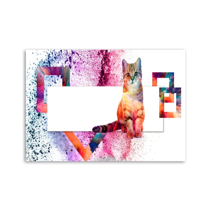 Leinwandbild - Mehrfarbige Katze auf weißem Hintergrund | Feeby