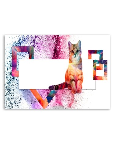 Leinwandbild - Mehrfarbige Katze auf weißem Hintergrund | Feeby