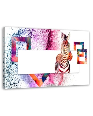 Leinwandbild - Mehrfarbiges Zebra auf weißem Hintergrund | Feeby