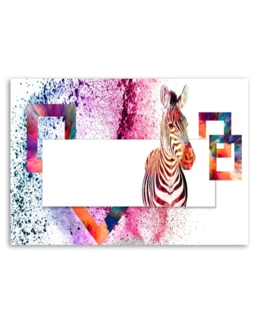 Leinwandbild - Mehrfarbiges Zebra auf weißem Hintergrund | Feeby