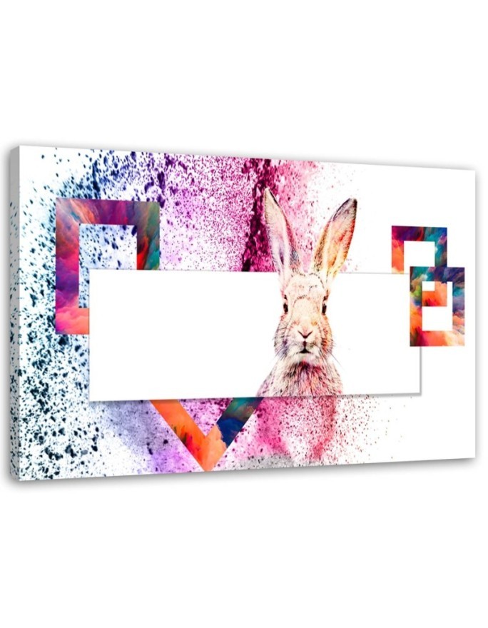 Bild - Mehrfarbiges Kaninchen auf weißem Hintergrund | Feeby