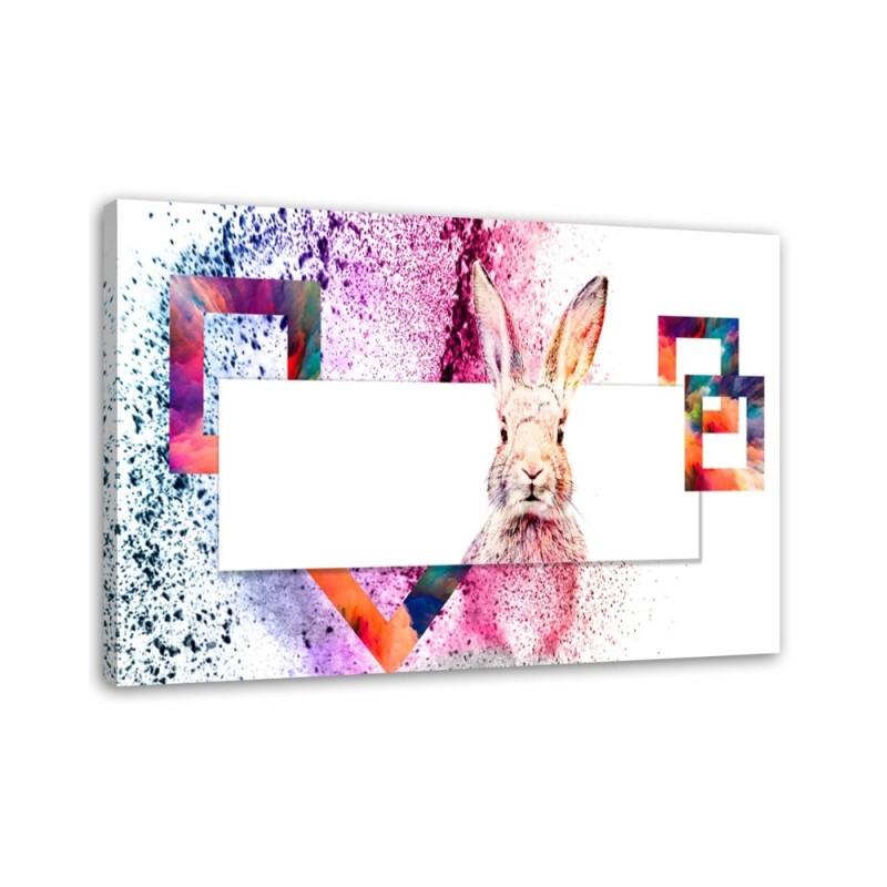 Bild - Mehrfarbiges Kaninchen auf weißem Hintergrund | Feeby