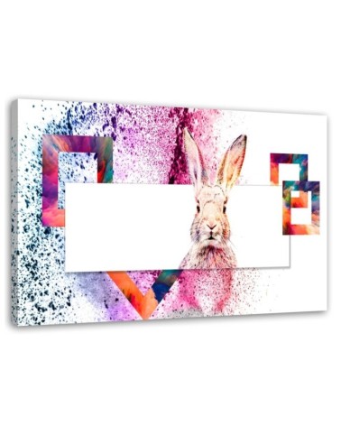 Bild - Mehrfarbiges Kaninchen auf weißem Hintergrund | Feeby