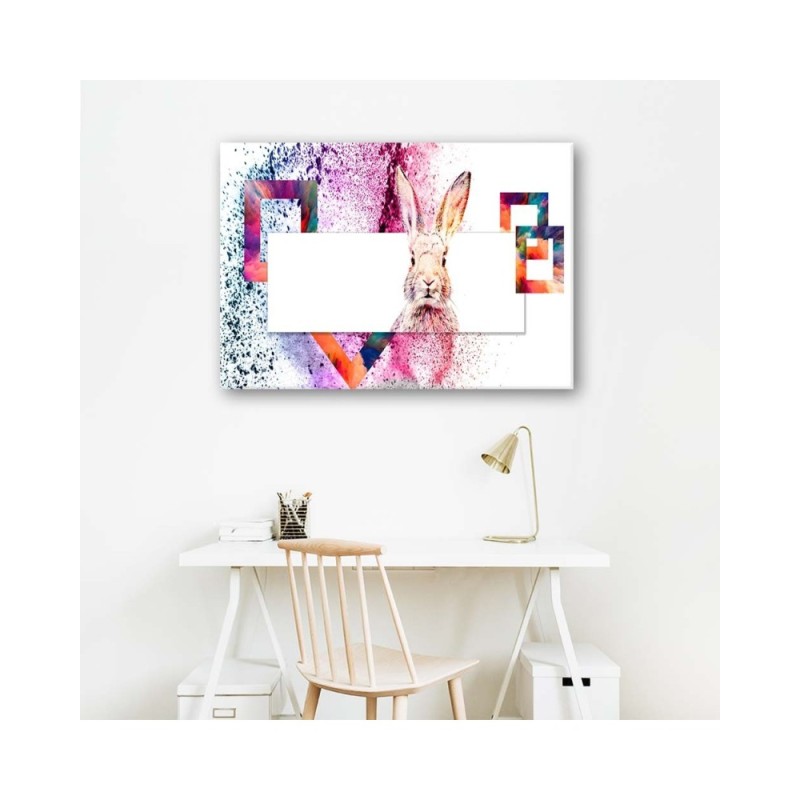 Bild - Mehrfarbiges Kaninchen auf weißem Hintergrund | Feeby