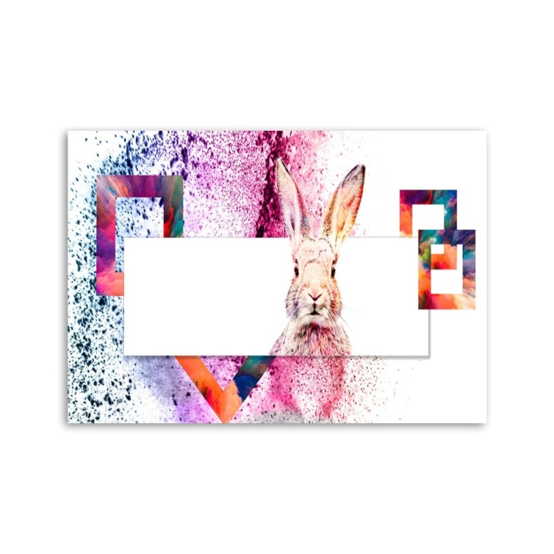 Bild - Mehrfarbiges Kaninchen auf weißem Hintergrund | Feeby