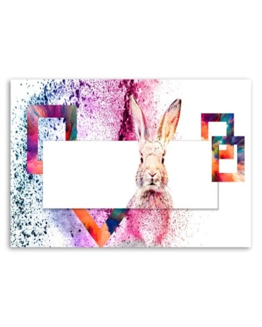 Bild - Mehrfarbiges Kaninchen auf weißem Hintergrund | Feeby