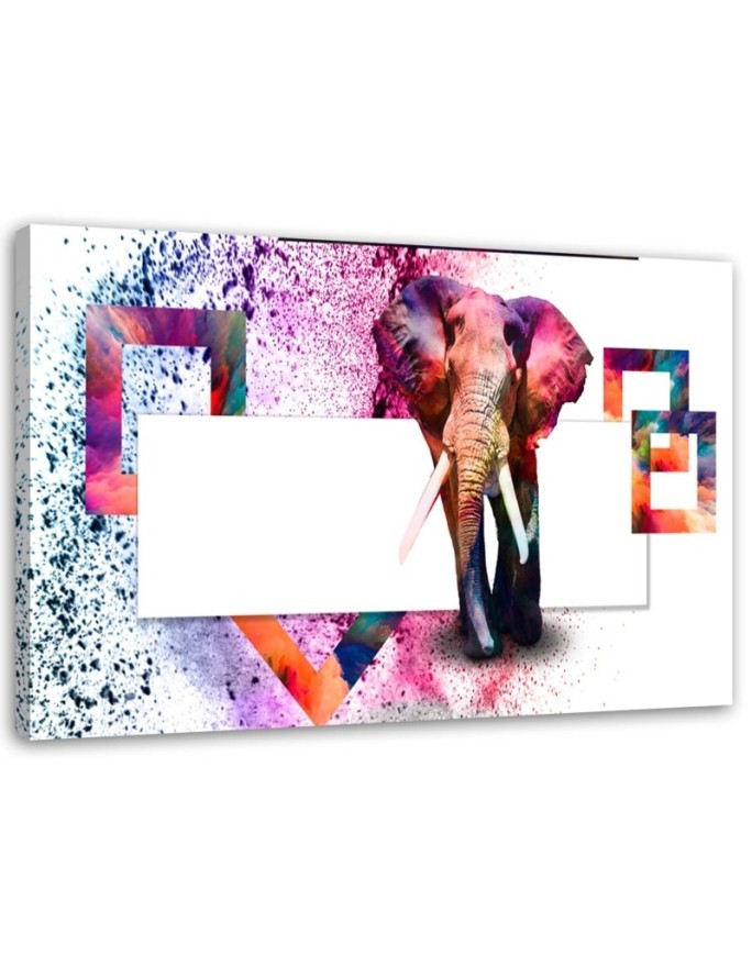 Leinwandbild - mehrfarbiger Elefant auf weißem Hintergrund | Feeby
