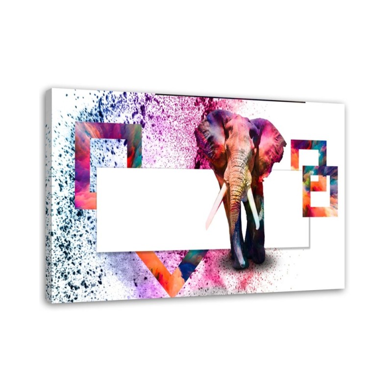 Leinwandbild - mehrfarbiger Elefant auf weißem Hintergrund | Feeby