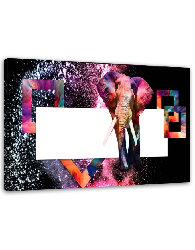 Bild - Mehrfarbiger Elefant auf schwarzem Hintergrund | Feeby
