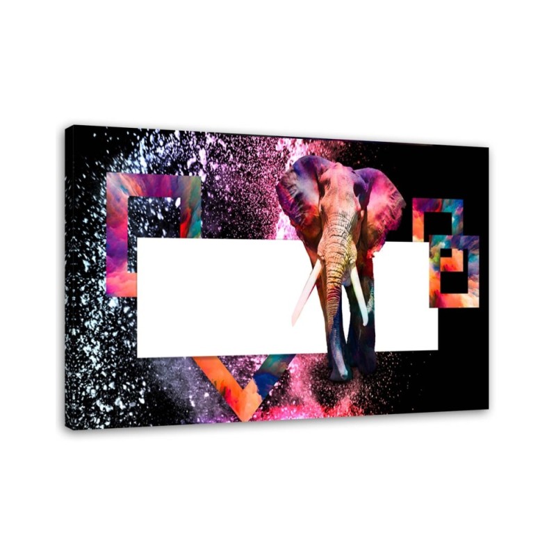 Bild - Mehrfarbiger Elefant auf schwarzem Hintergrund | Feeby
