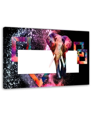 Modern canvas painting - Coloured elephant on black background | FEEBY