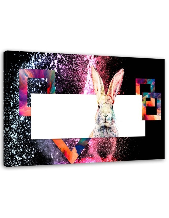 Bild - Mehrfarbiges Kaninchen auf schwarzem Hintergrund | Feeby