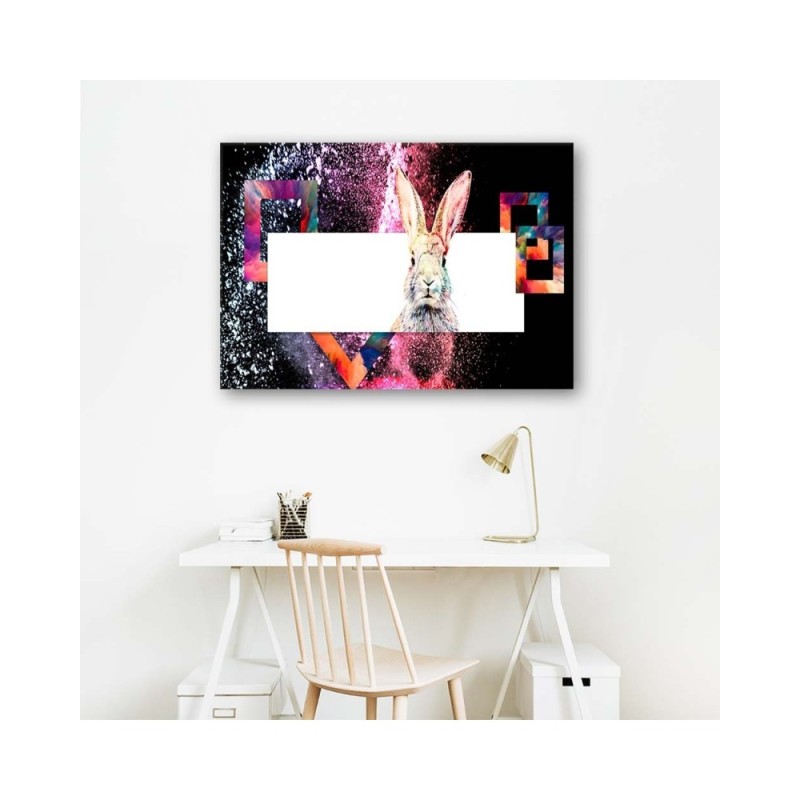 Bild - Mehrfarbiges Kaninchen auf schwarzem Hintergrund | Feeby