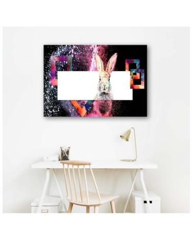 Bild - Mehrfarbiges Kaninchen auf schwarzem Hintergrund | Feeby