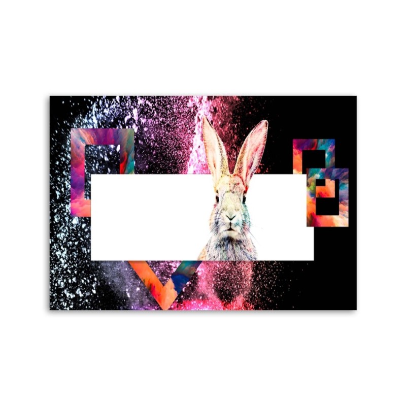 Bild - Mehrfarbiges Kaninchen auf schwarzem Hintergrund | Feeby