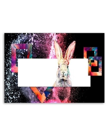 Bild - Mehrfarbiges Kaninchen auf schwarzem Hintergrund | Feeby