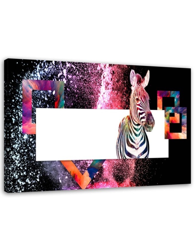 Bild - Mehrfarbiges Zebra auf schwarzem Hintergrund | Feeby