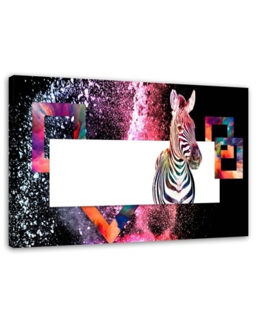 Colourful zebra on black background - Wall art decoration | FEEBY