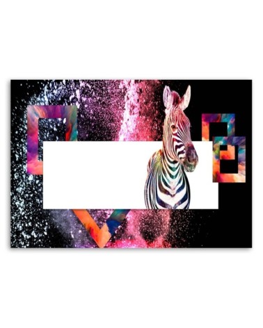 Bild - Mehrfarbiges Zebra auf schwarzem Hintergrund | Feeby